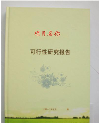 項目可研報告怎麽代寫？.png